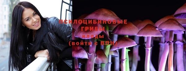ПСИЛОЦИБИНОВЫЕ ГРИБЫ Нефтекумск