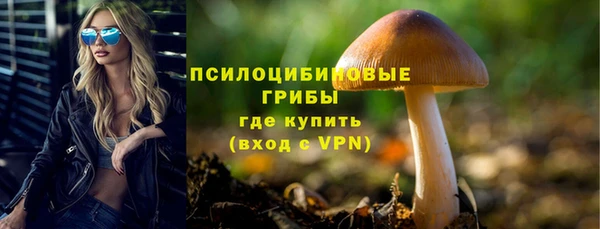 ПСИЛОЦИБИНОВЫЕ ГРИБЫ Нефтекумск